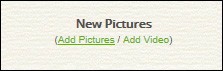 web site builder