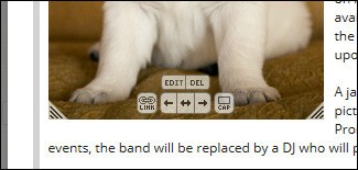 add captions that relate to news on the images
